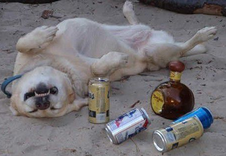 undefined{{pos:,w:,h:}}