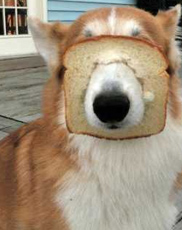 undefined{{pos:,w:,h:}}