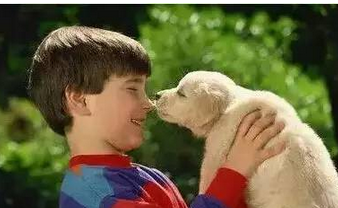 undefined{{pos:,w:,h:}}