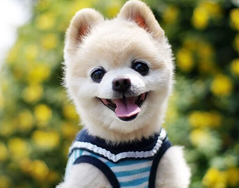 150具尸体惨死屋内 嫌疑人疑似精神病患者