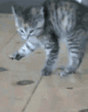 undefined{{pos:,w:,h:}}