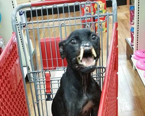 undefined{{pos:,w:,h:}}