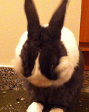 undefined{{pos:,w:,h:}}