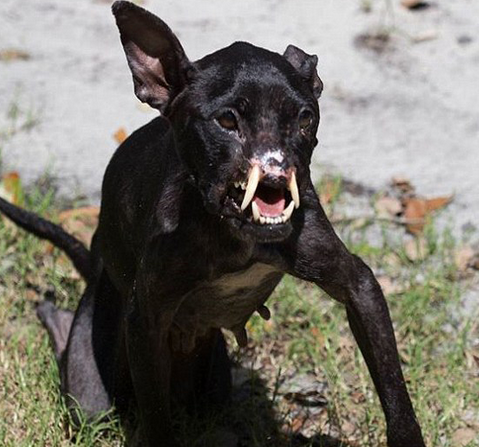 undefined{{pos:,w:,h:}}