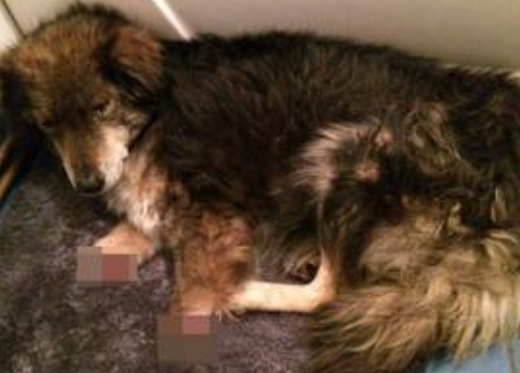 undefined{{pos:,w:,h:}}