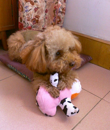 undefined{{pos:,w:,h:}}