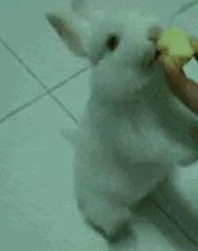 undefined{{pos:,w:,h:}}