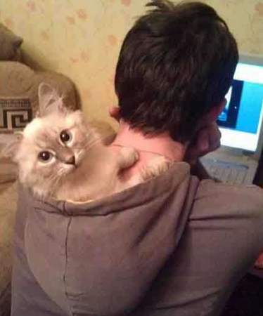 看我学得像不像