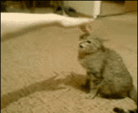 火着呢，最好别碰我，靠，你还不信