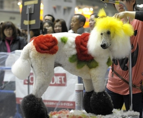 undefined{{pos:,w:,h:}}