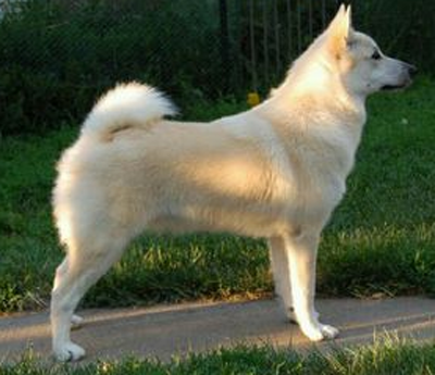 undefined{{pos:,w:,h:}}