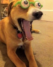 undefined{{pos:,w:,h:}}