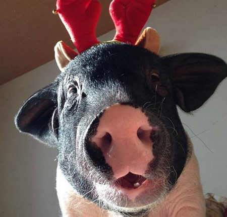 undefined{{pos:,w:,h:}}