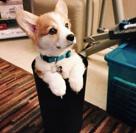 undefined{{pos:,w:,h:}}