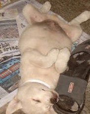 undefined{{pos:,w:,h:}}