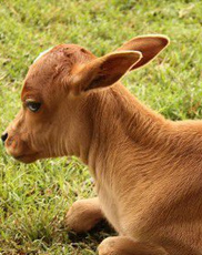 undefined{{pos:,w:,h:}}