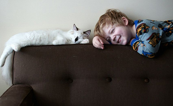 排排坐，吃果果