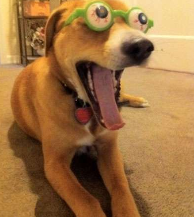 undefined{{pos:,w:,h:}}