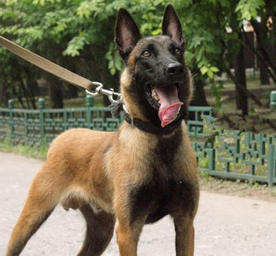 undefined{{pos:,w:,h:}}