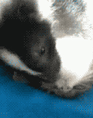 undefined{{pos:,w:,h:}}