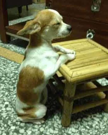 晒晒太阳最舒服了