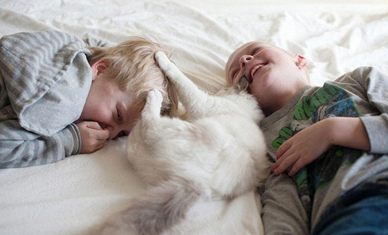 undefined{{pos:,w:,h:}}