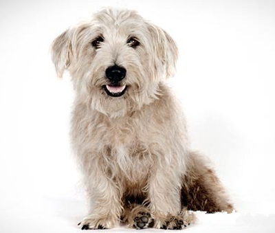 undefined{{pos:,w:,h:}}