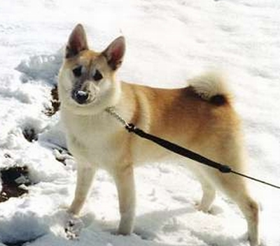 undefined{{pos:,w:,h:}}