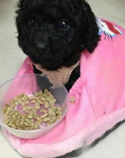 undefined{{pos:,w:,h:}}