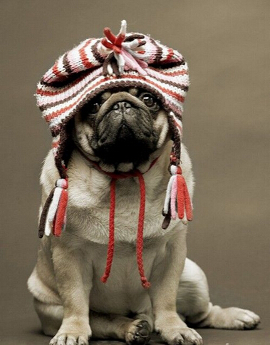 150具尸体惨死屋内 嫌疑人疑似精神病患者