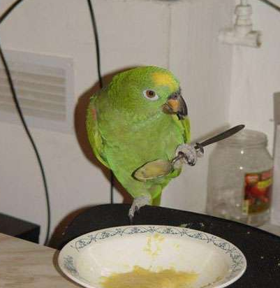 还好哥练过，不然就不方便吃了