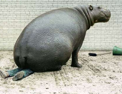 你屁股底下有一条人命，你知道不？