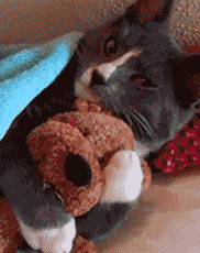 undefined{{pos:,w:,h:}}