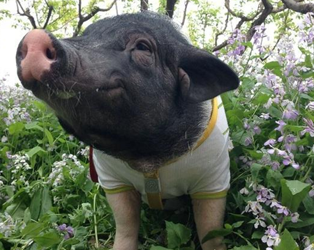 哎呦，快摔死了