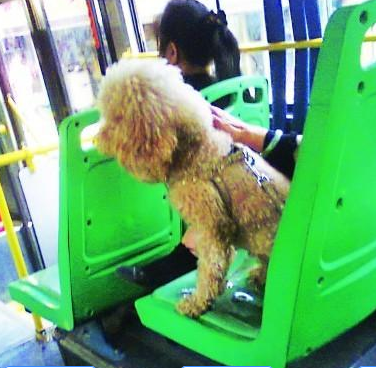 undefined{{pos:,w:,h:}}