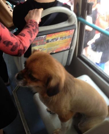 undefined{{pos:,w:,h:}}