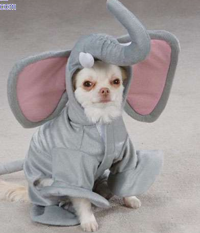 undefined{{pos:,w:,h:}}