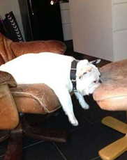 undefined{{pos:,w:,h:}}