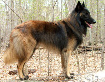 undefined{{pos:,w:,h:}}