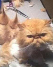 undefined{{pos:,w:,h:}}