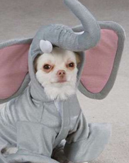 undefined{{pos:,w:,h:}}