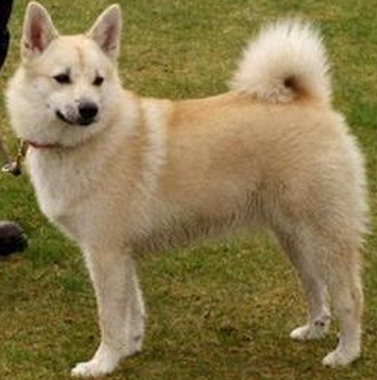 undefined{{pos:,w:,h:}}