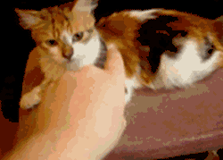 我最不喜欢那个用手指着我...