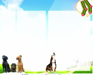 undefined{{pos:,w:,h:}}