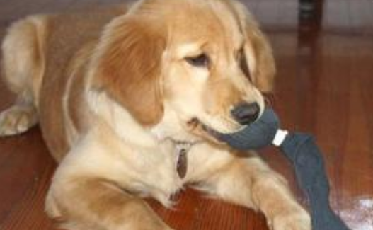 undefined{{pos:,w:,h:}}