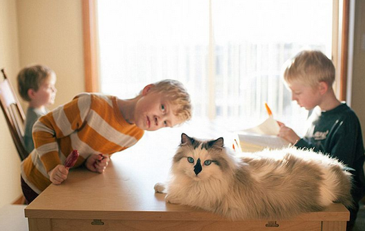 undefined{{pos:,w:,h:}}