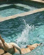 金毛犬捡瓶成瘾 靠捡瓶子供了两个大学生