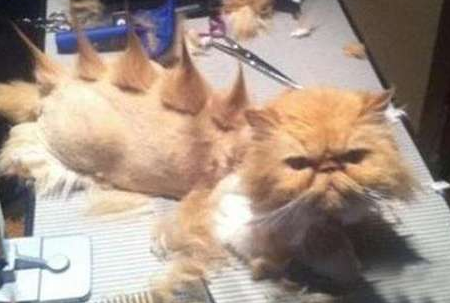 我绝对绝对不会原谅你的