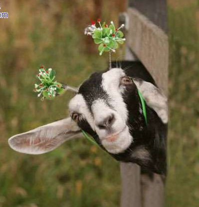 看我这样漂亮吗？