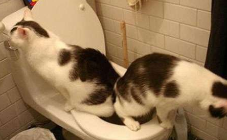 undefined{{pos:,w:,h:}}